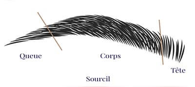 shema-sourcil