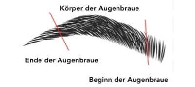shema-sourcil-ALL