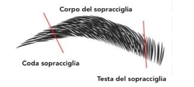 shema-sourcil-IT